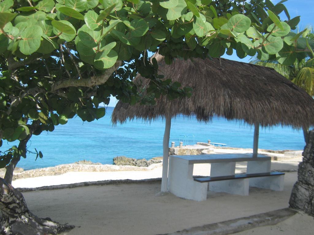 Condumel Apartment Cozumel Bagian luar foto