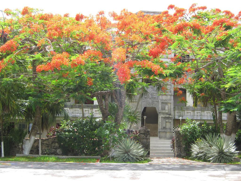Condumel Apartment Cozumel Ruang foto
